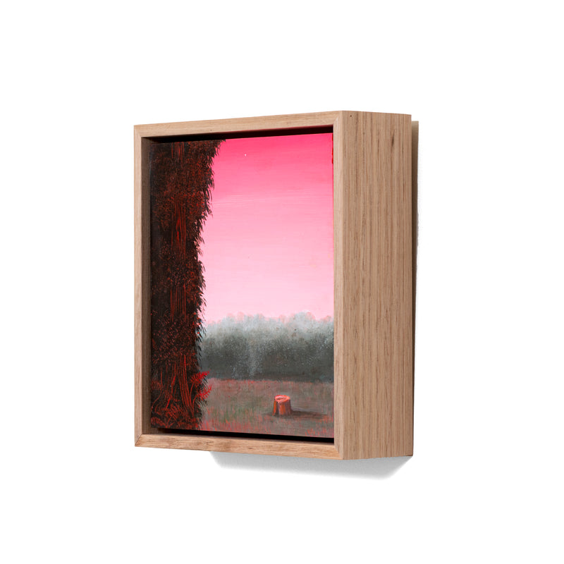 Still, Forest: Remnant Blush, Otways (5)