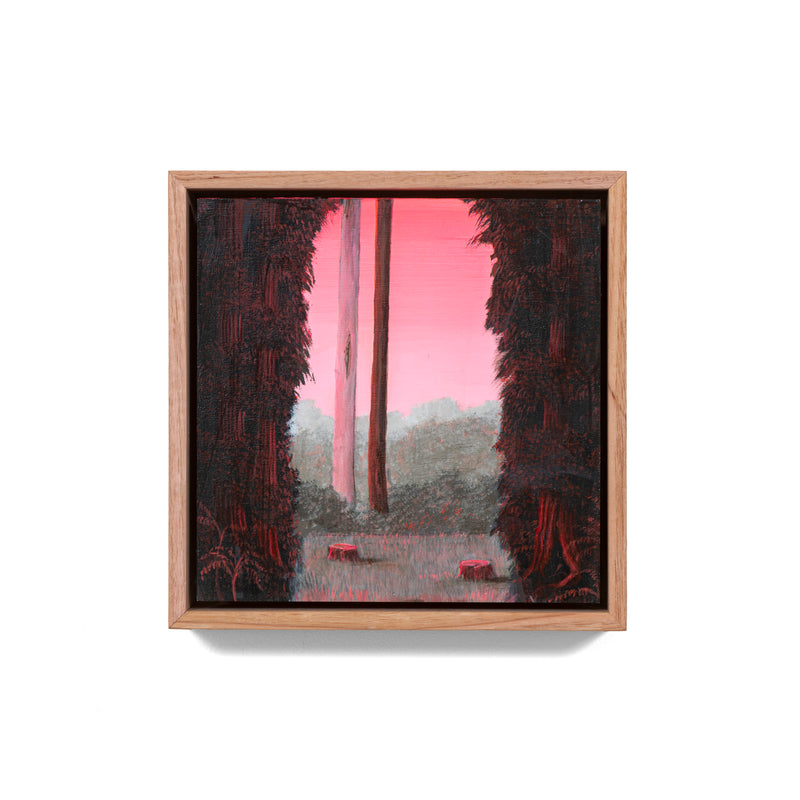 Still, Forest: Remnant Blush, Otways (4)