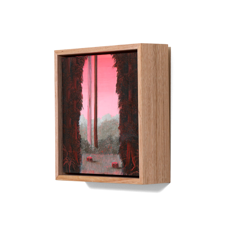 Still, Forest: Remnant Blush, Otways (4)