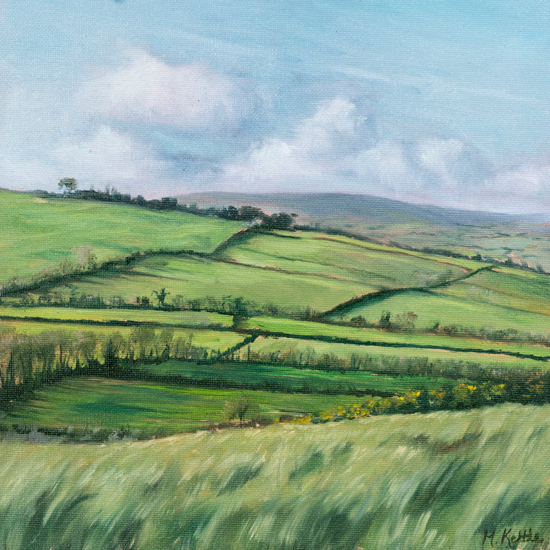 The Climb To Loughcrew