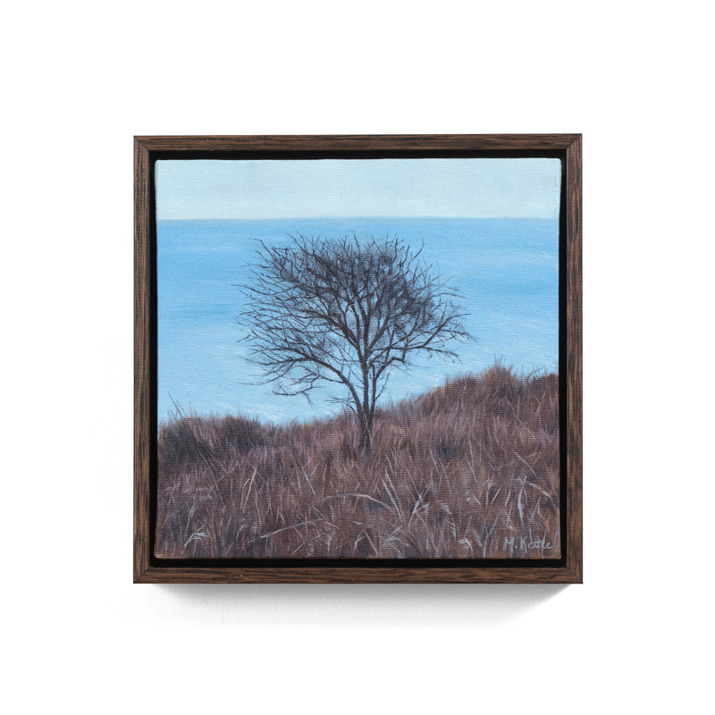 Fairy Tree Beside The Sea