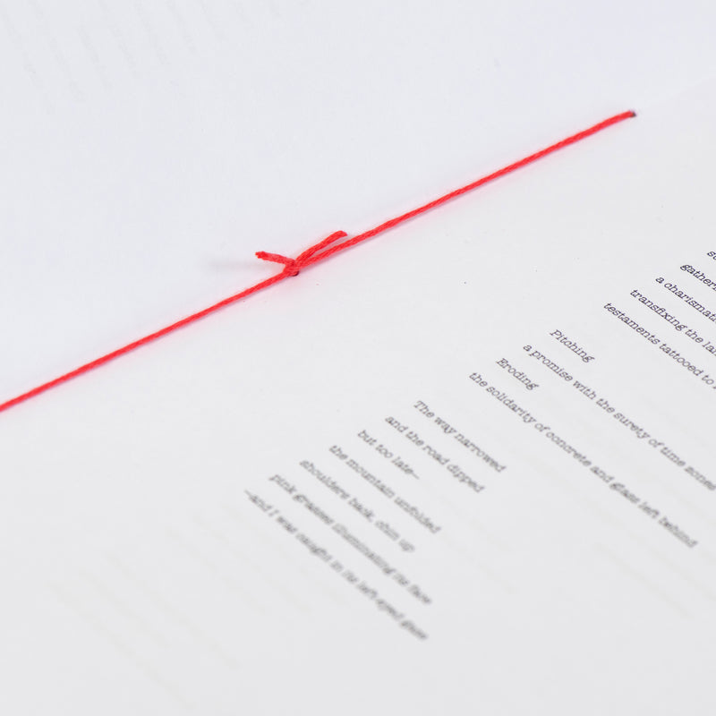 Poetry Chapbook (The Estuary)