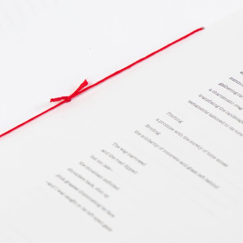 Poetry Chapbook (Apples)