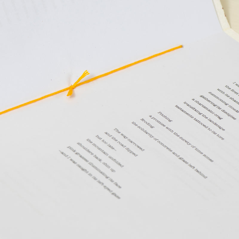 Poetry Chapbook (Fox)