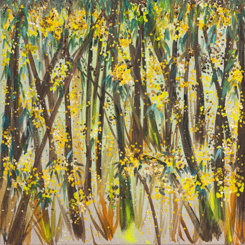 Ironbark Forest Filled With Gold