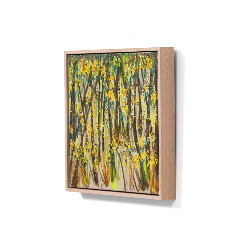 Ironbark Forest Filled With Gold
