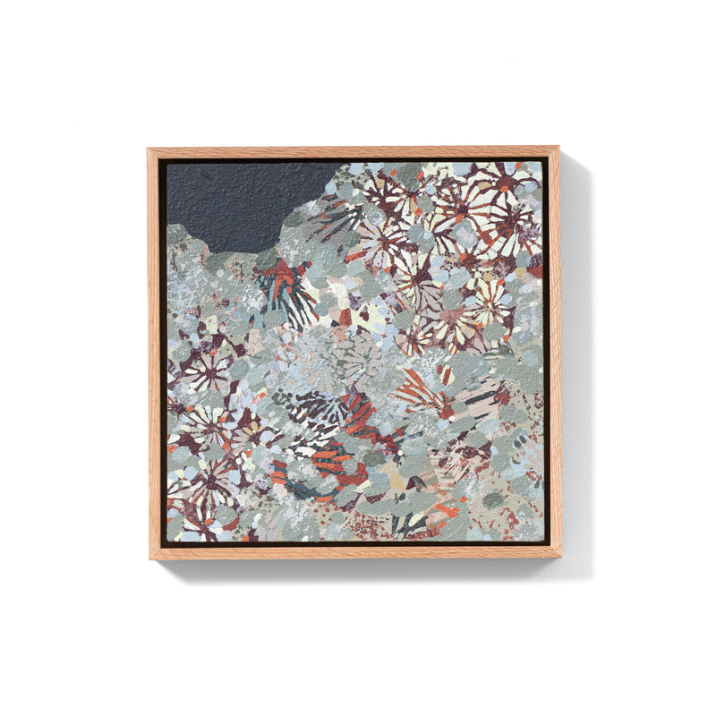 Microfossil Scatter