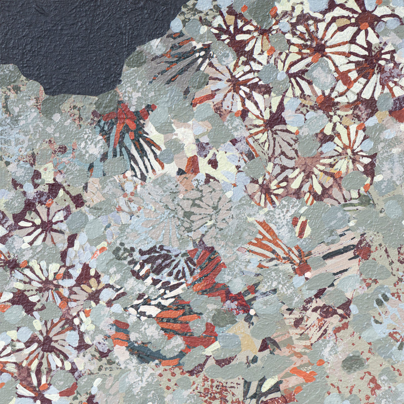 Microfossil Scatter