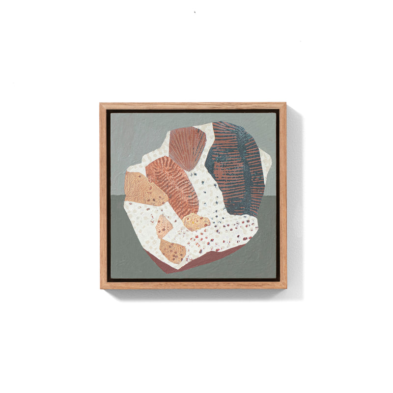 Fossil Fragment #5