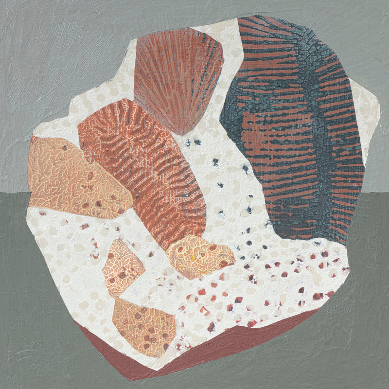 Fossil Fragment #5