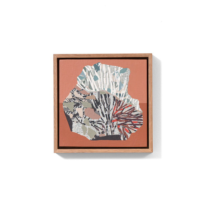 Fossil Fragment #1