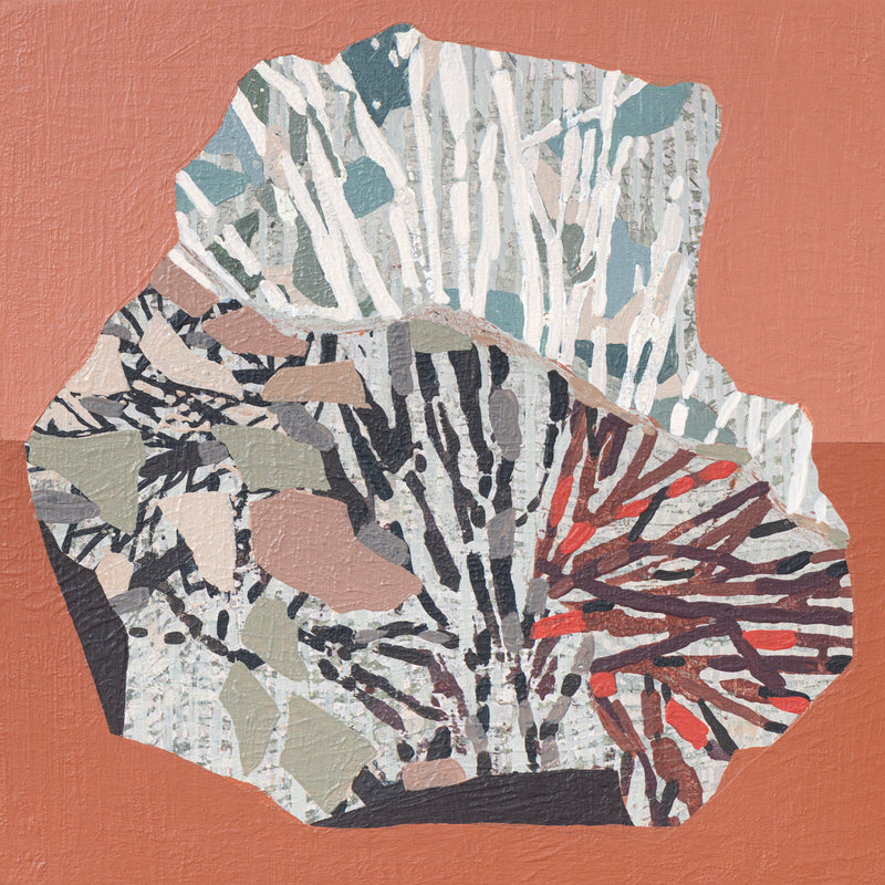 Fossil Fragment #1