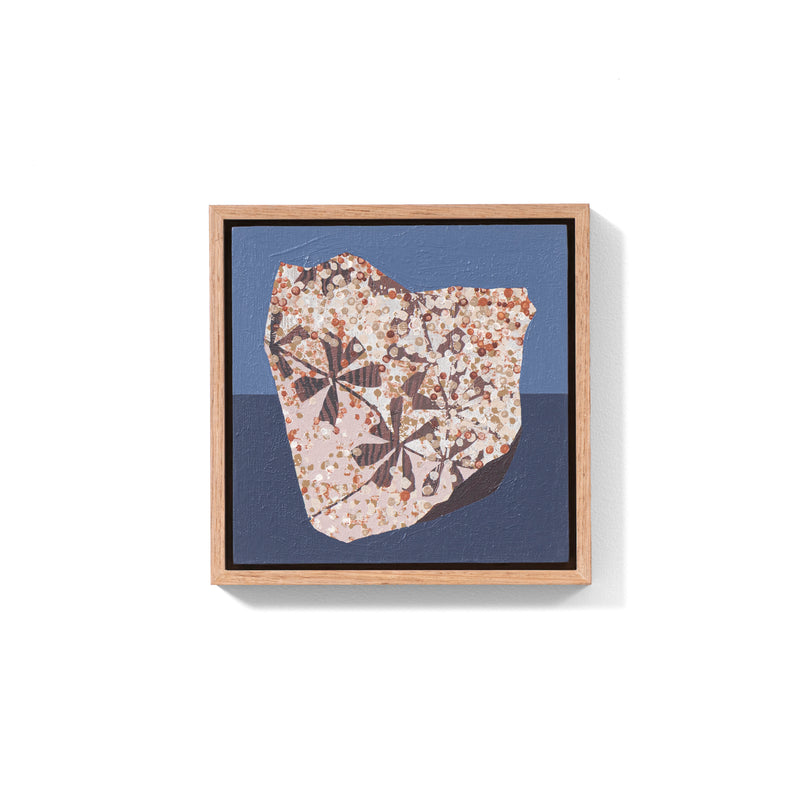 Fossil Fragment #8