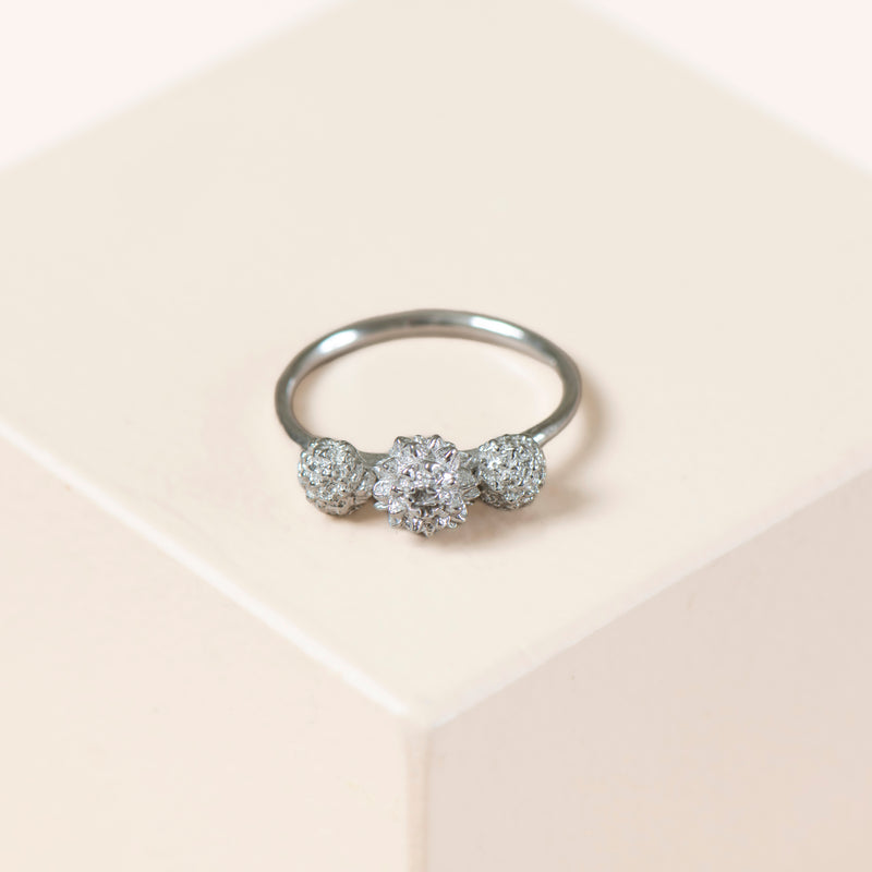 Trio Sheoak Ring