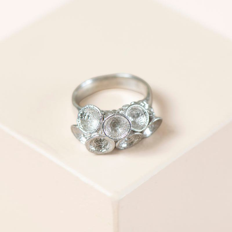 Leucoxylon Cluster Ring