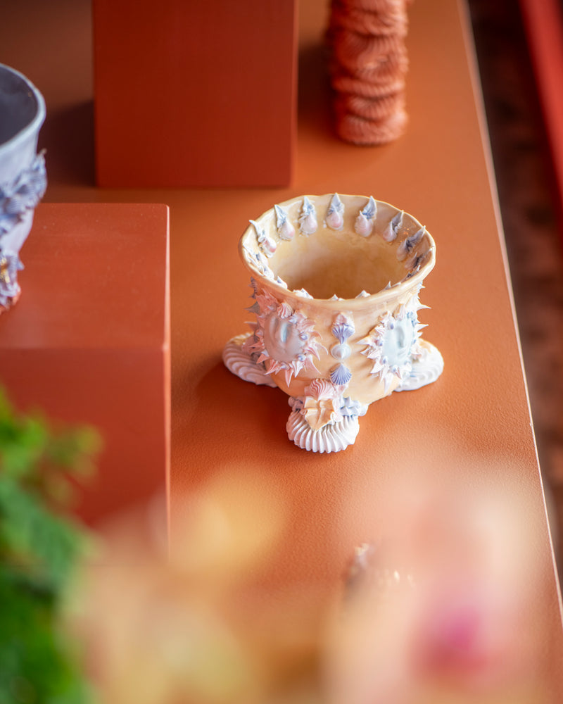 Sun God Pianto In Vaso