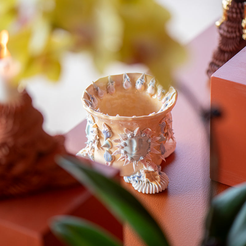 Sun God Pianto In Vaso