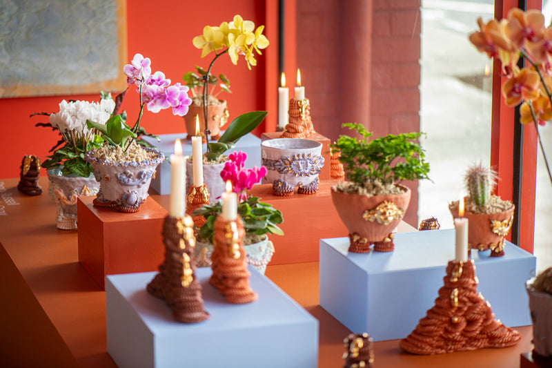 Oceanid Terracotta Pianto In Vaso