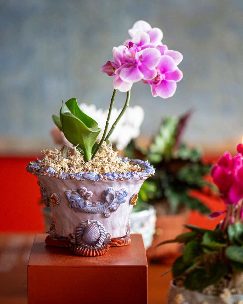 Oceanid Majolica Pianto In Vaso