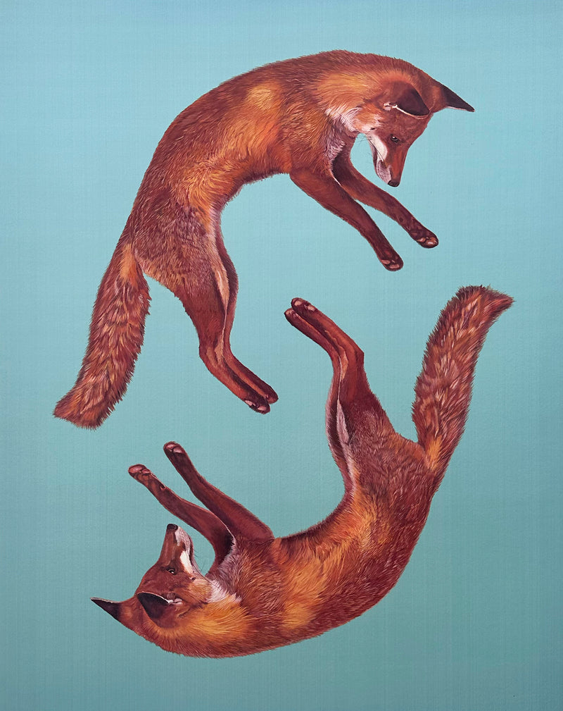 Study No. 2 (Foxes)