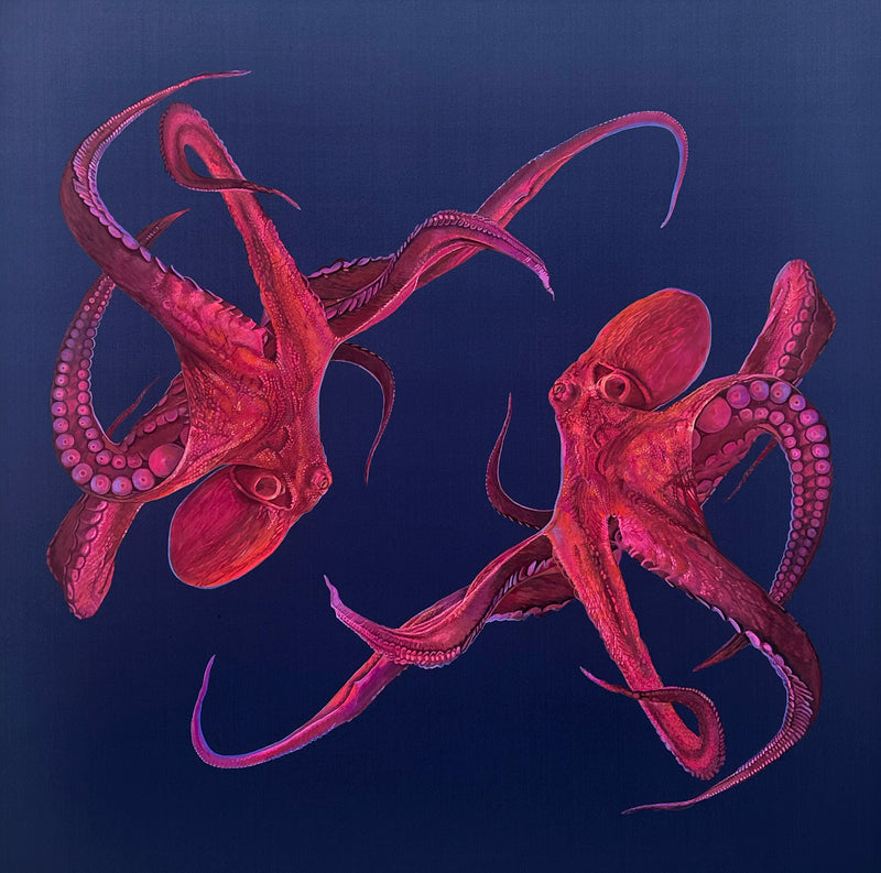 Study No. 1 (Octopi)