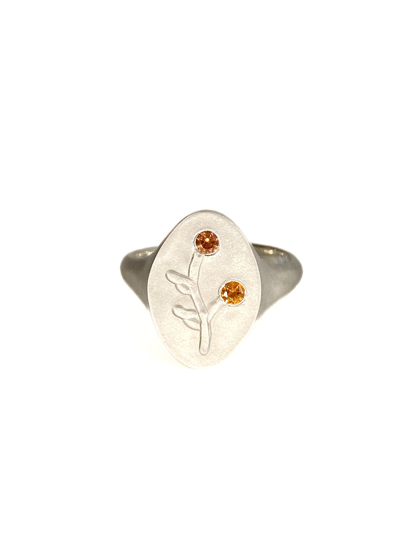 My Kitchen Prairie (ONE) - Signet Ring