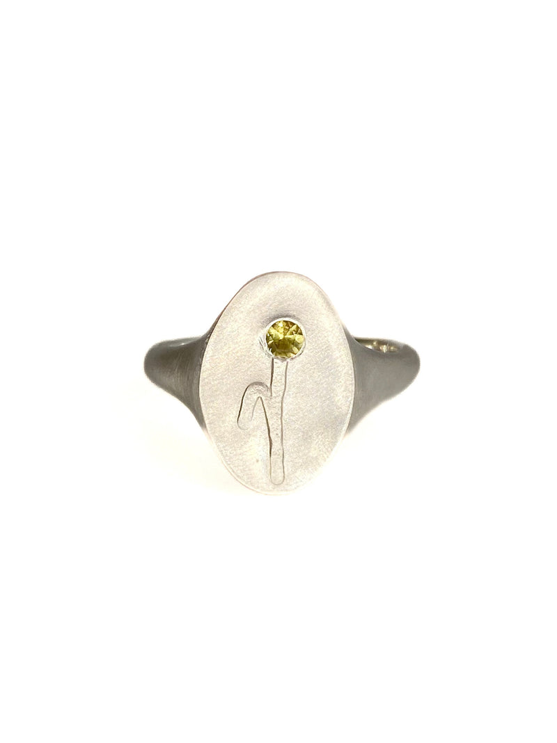 My Kitchen Prairie (TWO) - Signet Ring