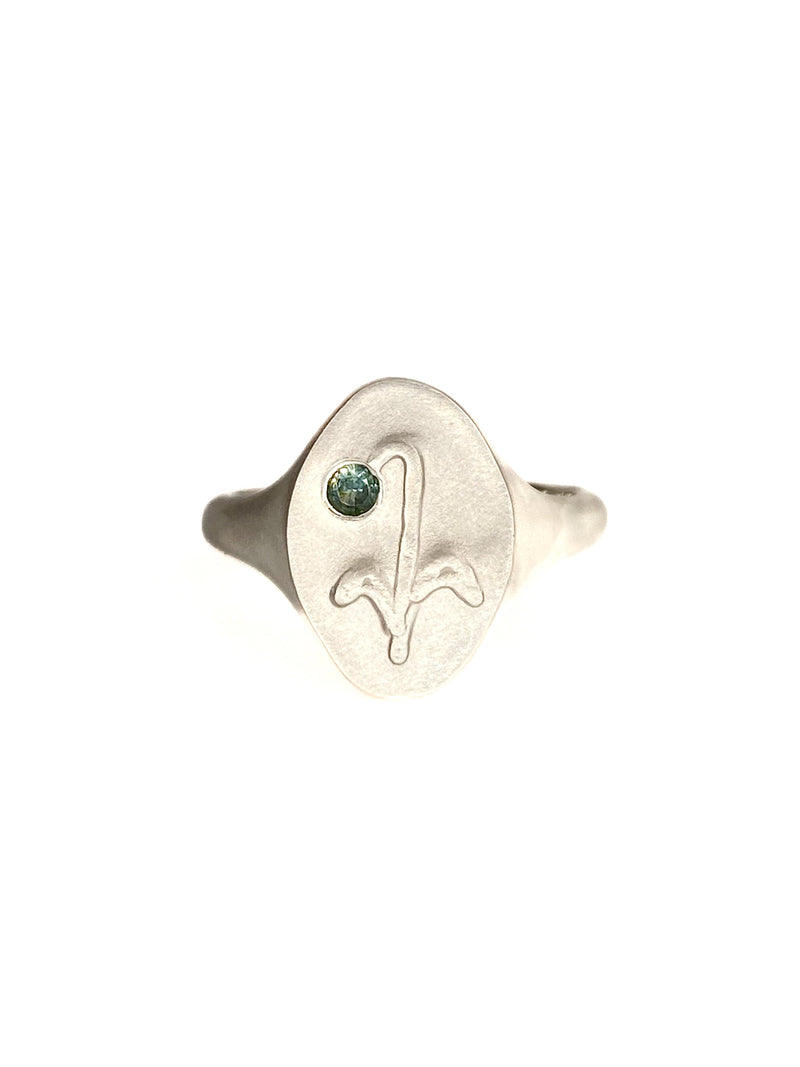 My Kitchen Prairie (THREE) - Signet Ring