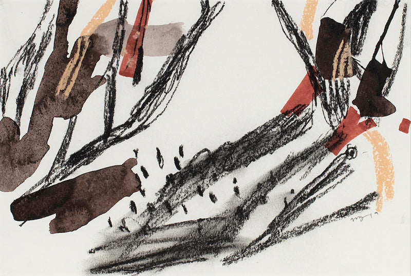 Chasing Shadows (In The Pinjar Wetlands) - Boom Gallery