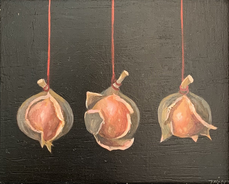 3 Hanging Macadamia - Boom Gallery