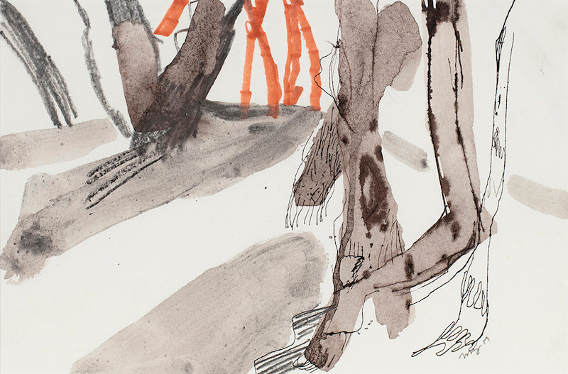 The Character of Trees (In The Pinjar Wetlands) - Boom Gallery