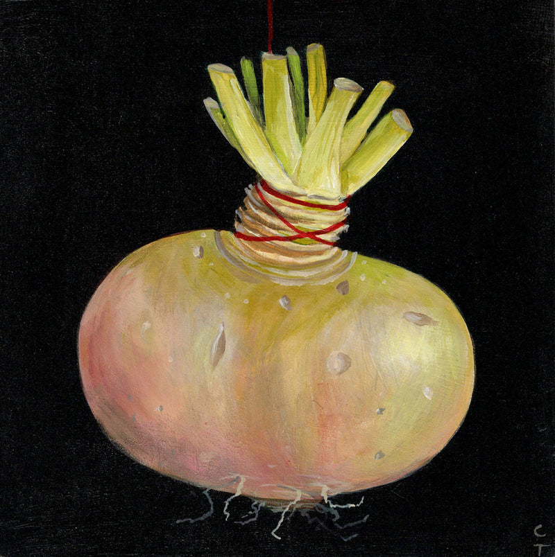 1 Turnip Hanging - Boom Gallery