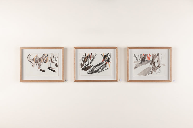 Winter Light (Shape of Trees) - Boom Gallery