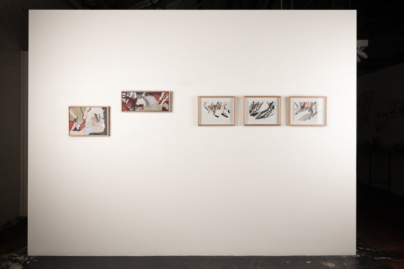 Chasing Shadows (In The Pinjar Wetlands) - Boom Gallery