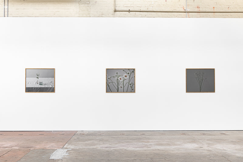 Handful of Charm - Boom Gallery