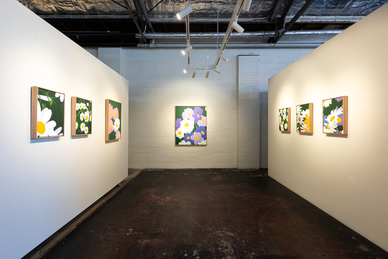 Chrysanthemum (Yates) - Boom Gallery