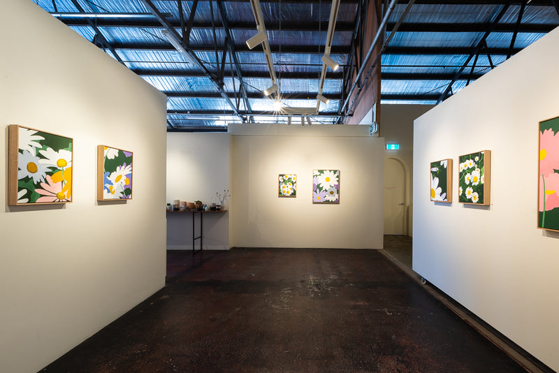 Swan River Daisy (D.T. Brown) - Boom Gallery
