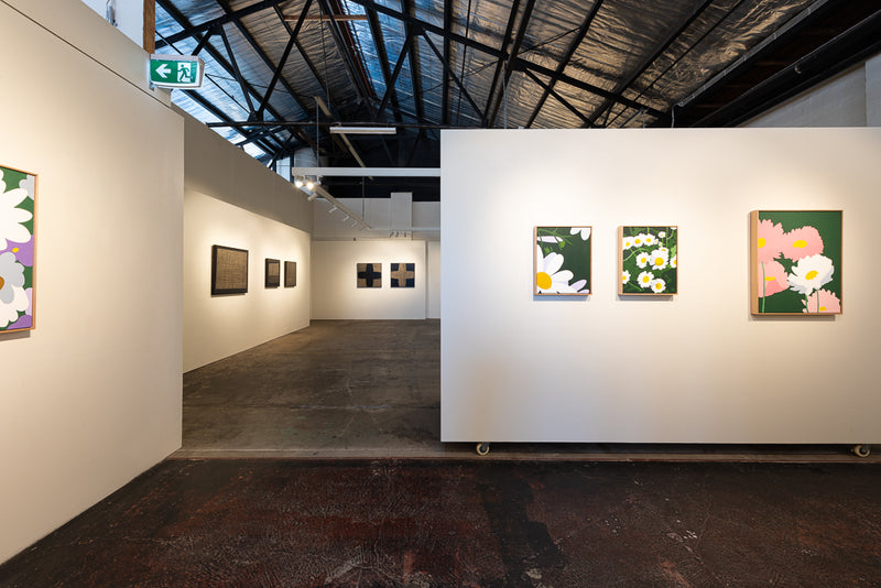 Swan River Daisy (D.T. Brown) - Boom Gallery