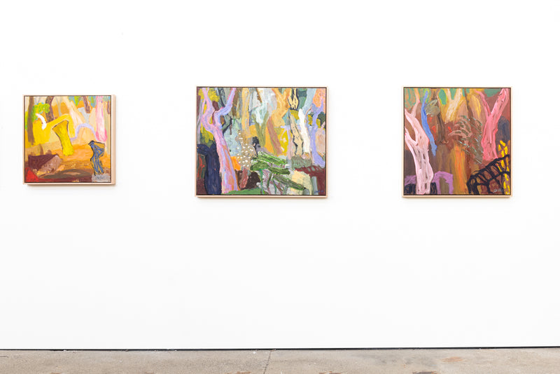 The Whip Bird Calls - Boom Gallery