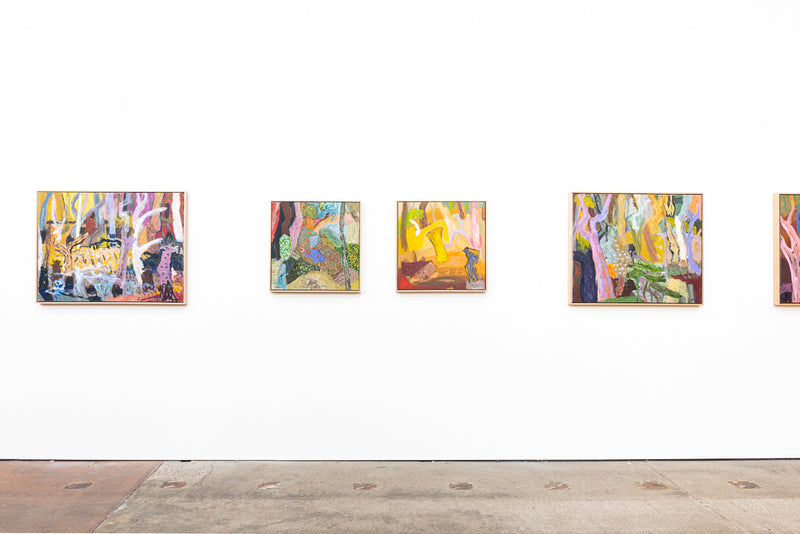 Mangrove Enchantment - Boom Gallery