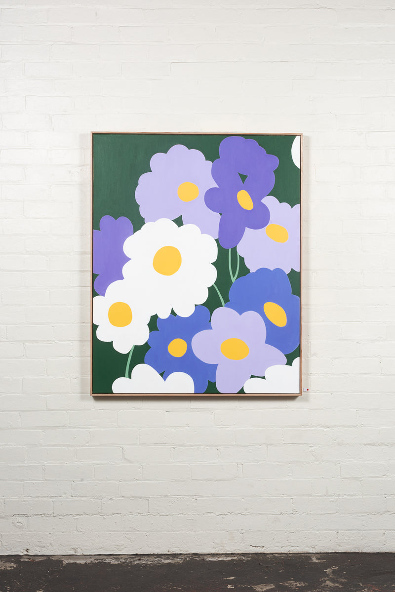 Swan River Daisy (Yates) - Boom Gallery