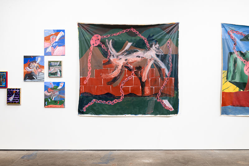 A Dog's Fence - Boom Gallery