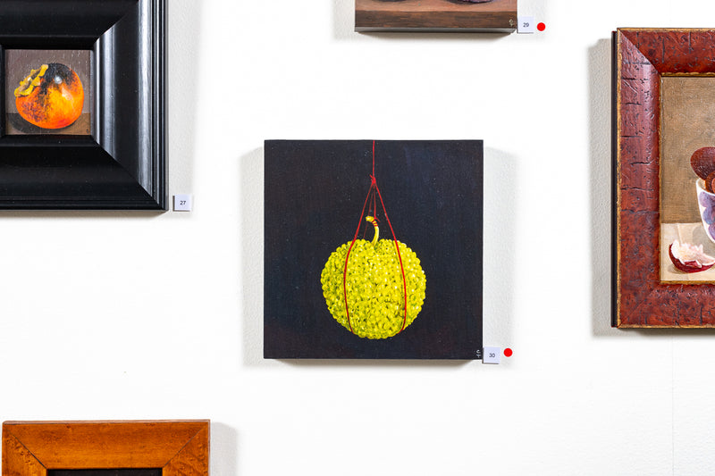 Hanging Osage Orange - Boom Gallery