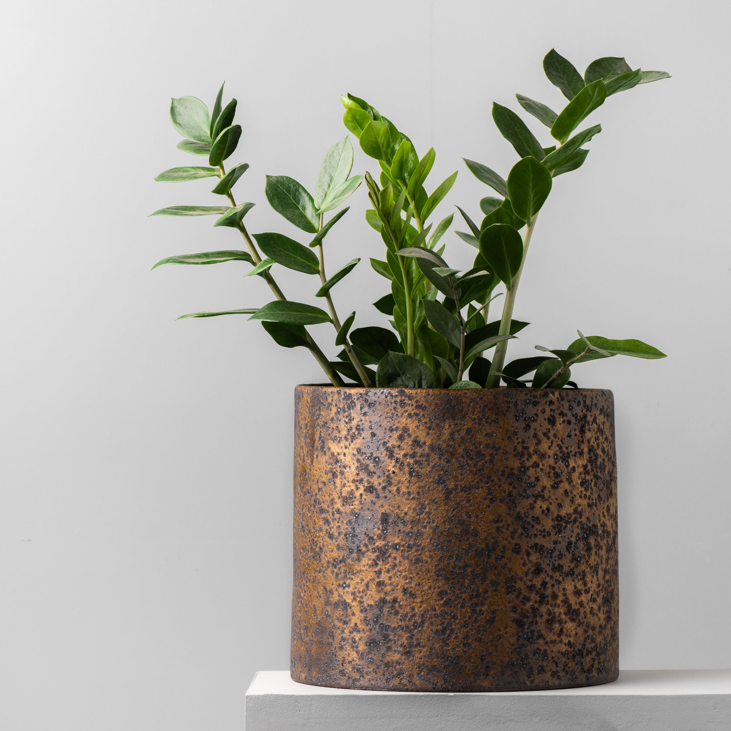 large bronze plant pots Large Planter (Bronze)' by Sharon Alpren For Sale