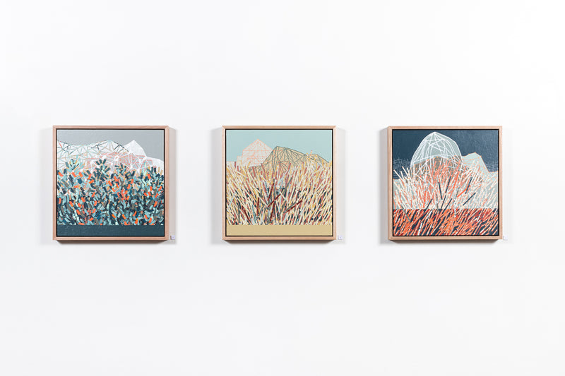 Coastal Thicket Rise