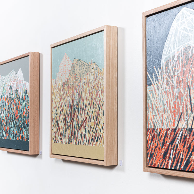 Coastal Thicket Rise