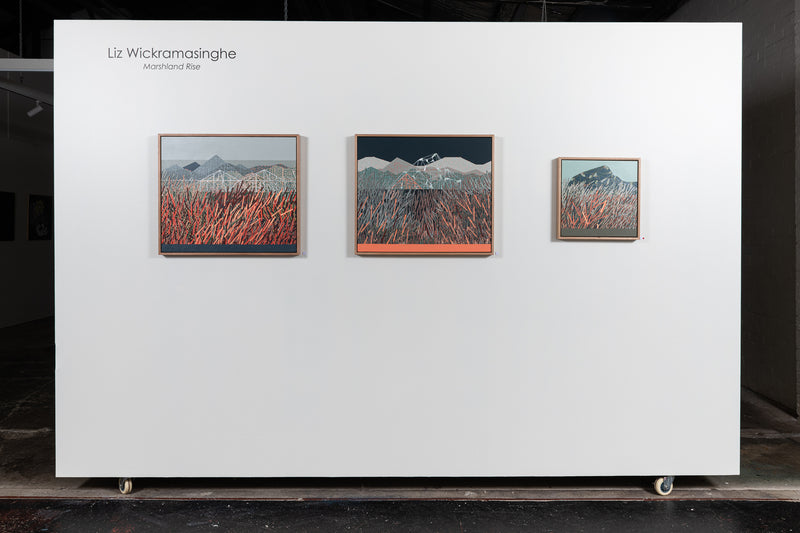 Marsh Tussock Rise