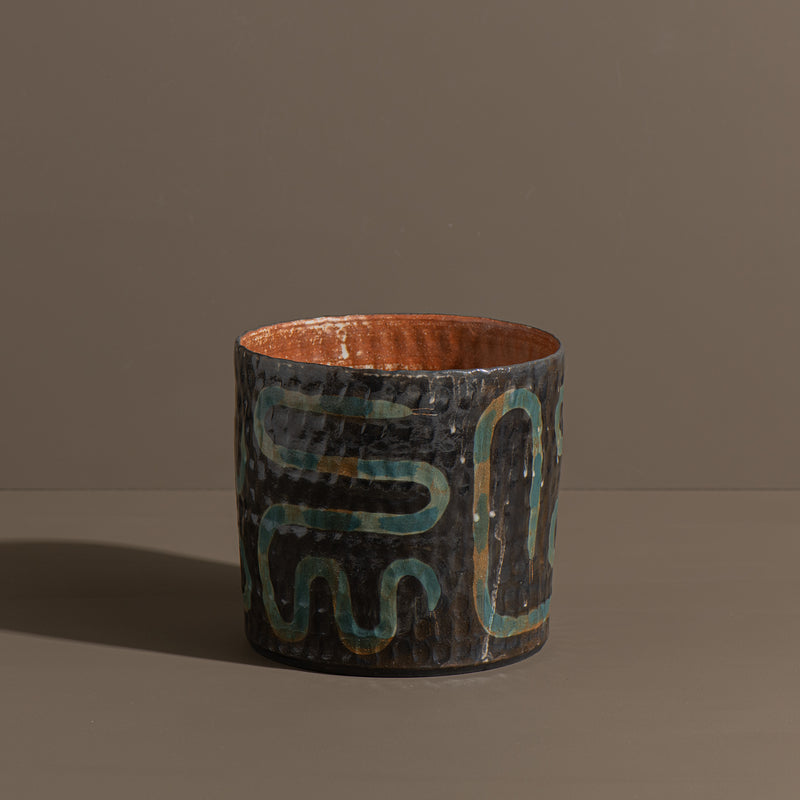 Large Blue Snake Planter