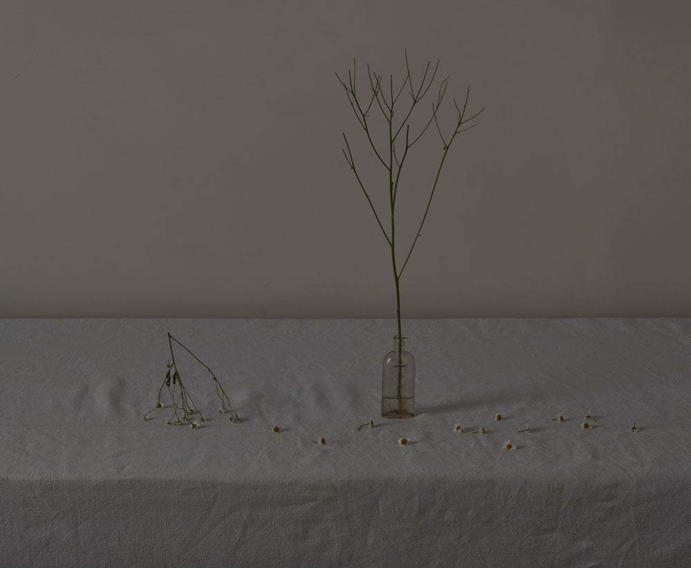 Cold Cold Ground - Boom Gallery