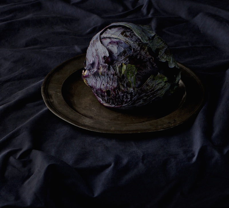 Still Life with Cabbage - Boom Gallery